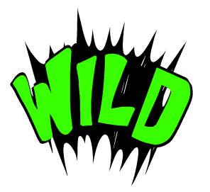 Wild symbol