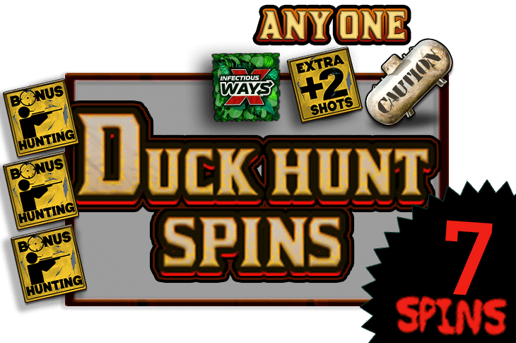 Duck Hunters Duck Hunt Spins