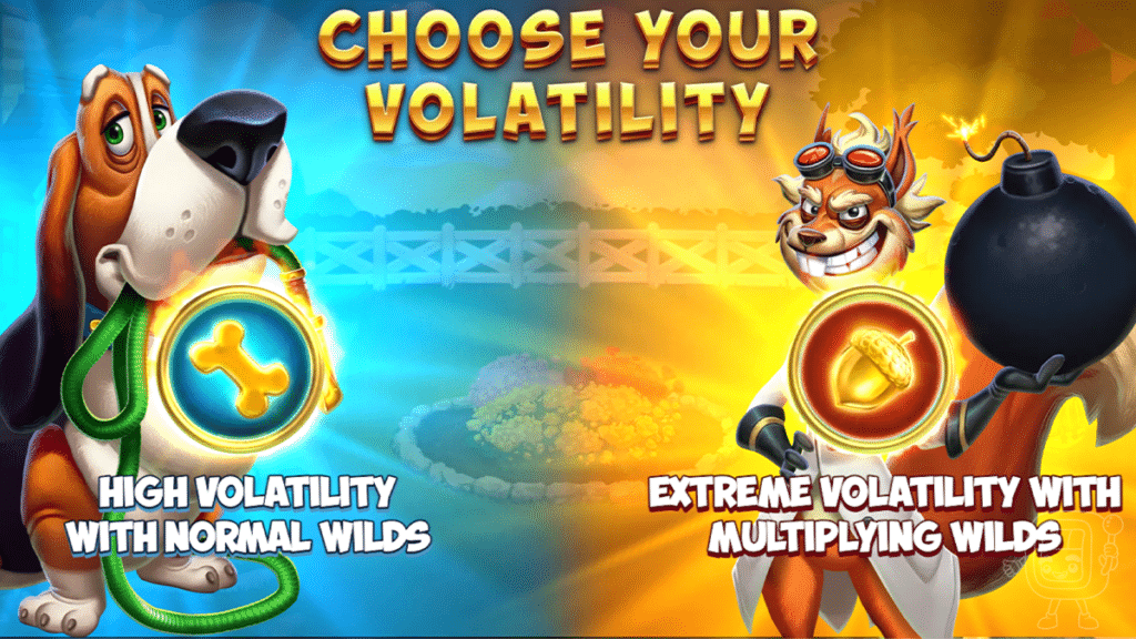 licence to squirrel slot choose your volatility