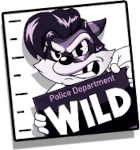 Wild Symbol