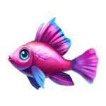 Colorful Fish 2